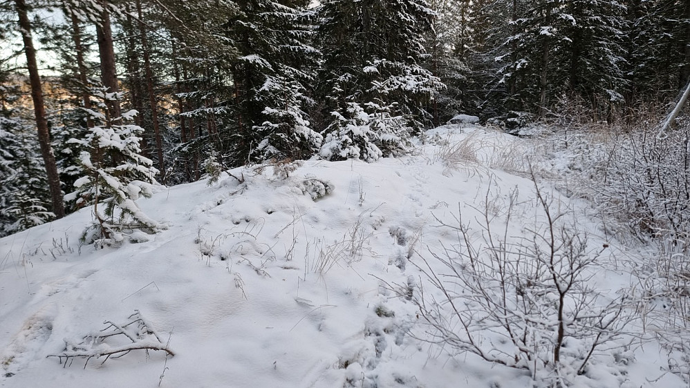 Toppen på punkt 418