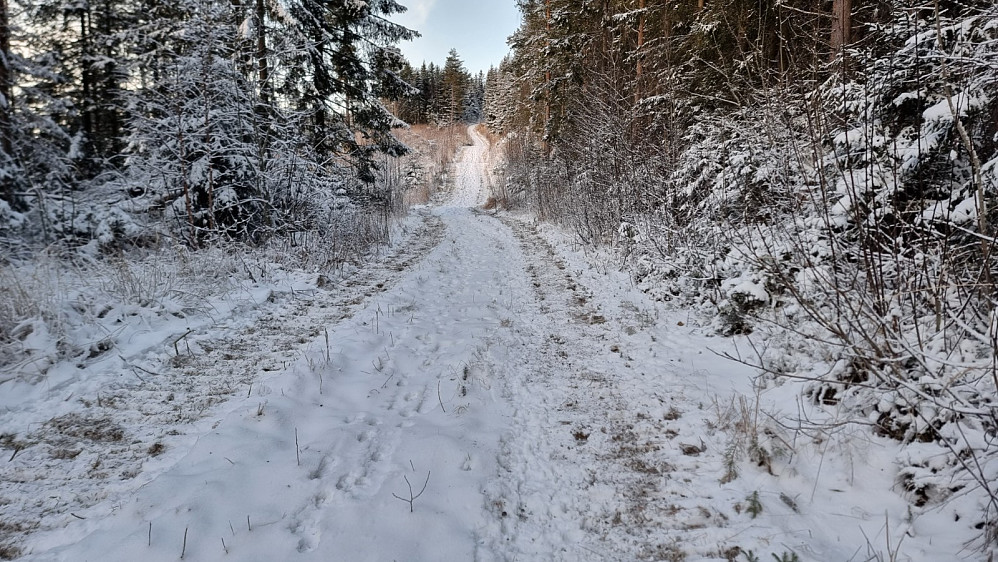 Mye av turen gikk på skogsveier