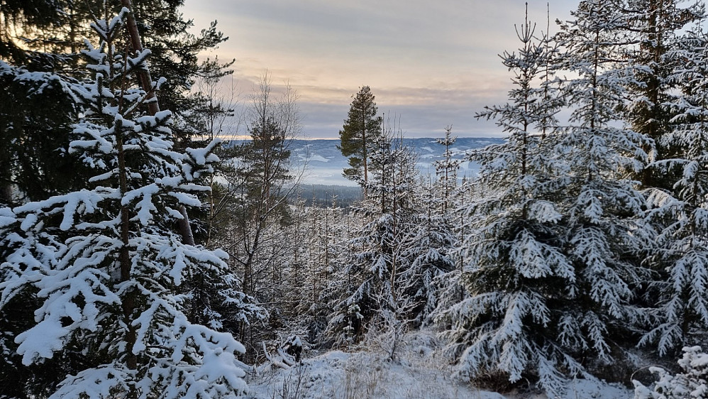 Litt utsyn fra Roverudlia