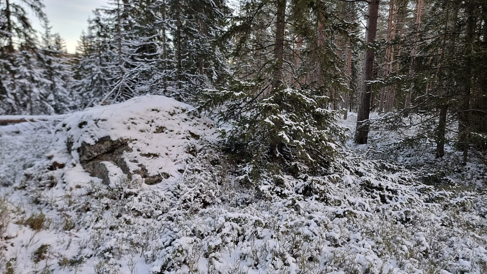 Høyeste punkt på Galterudsveringen