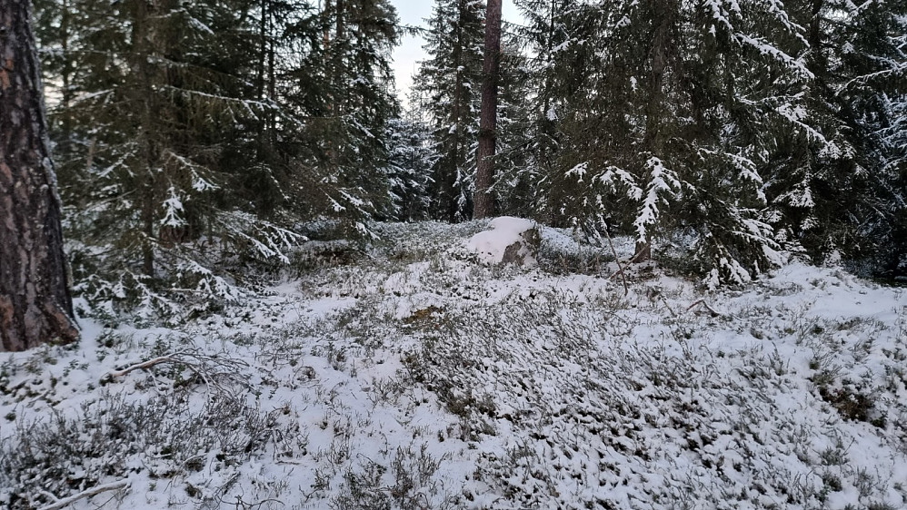 Høyeste punkt hadde ingen utsikt