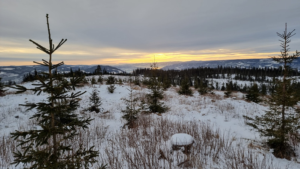 Fra toppen og mot Mjøsa