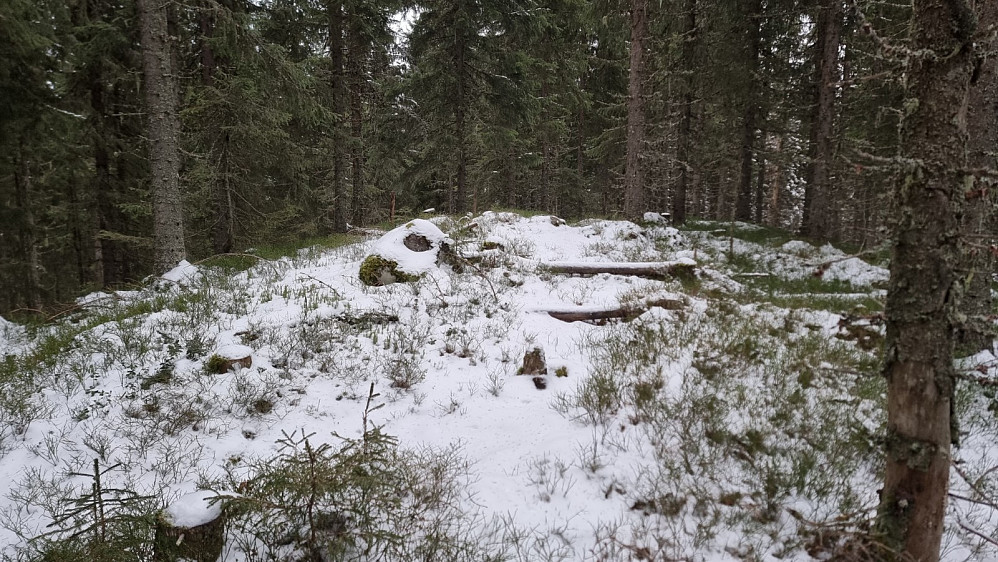 Toppen på punkt 664