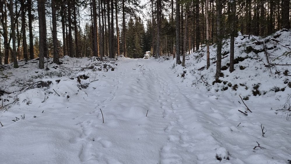 Snøføre men greit å gå