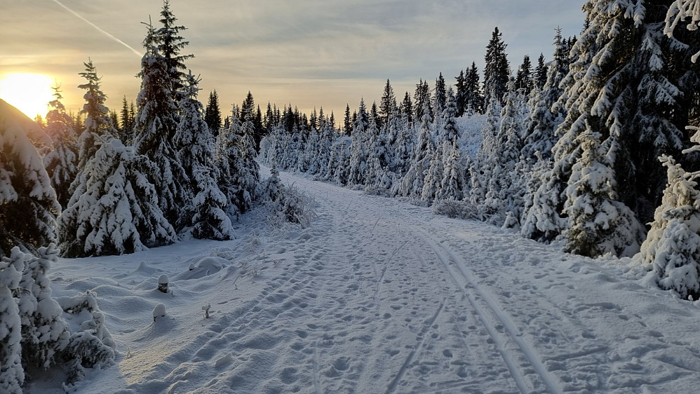 På veien var det kjørt med snøscooter og det var satt et helt ok skispor