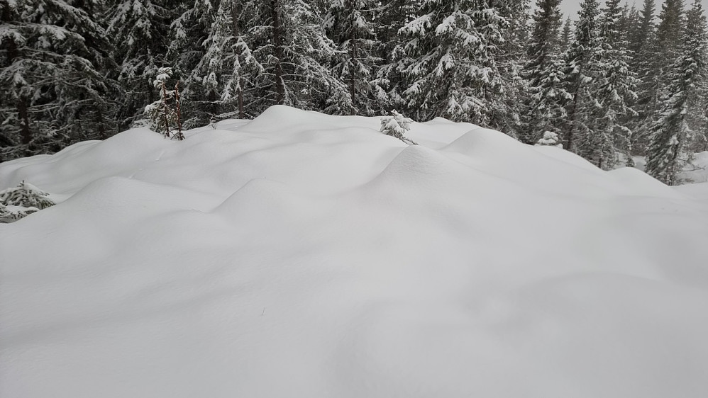 Urørt snø på toppen av Inngjerdingshaugen