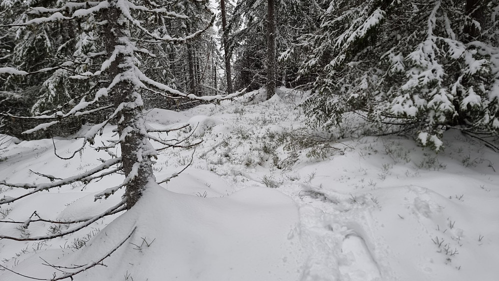 Det gikk sakte i dag pga løs snø. Her fra det tredje toppunktet