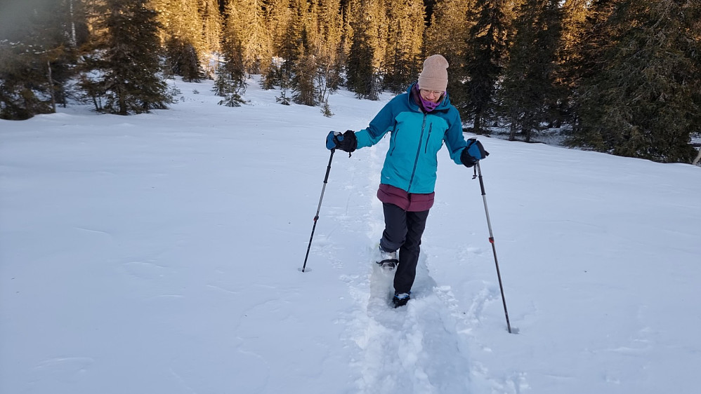 Jeg gikk foran og tråkket. Løs snø i terrenget gjorde det tungt å gå først