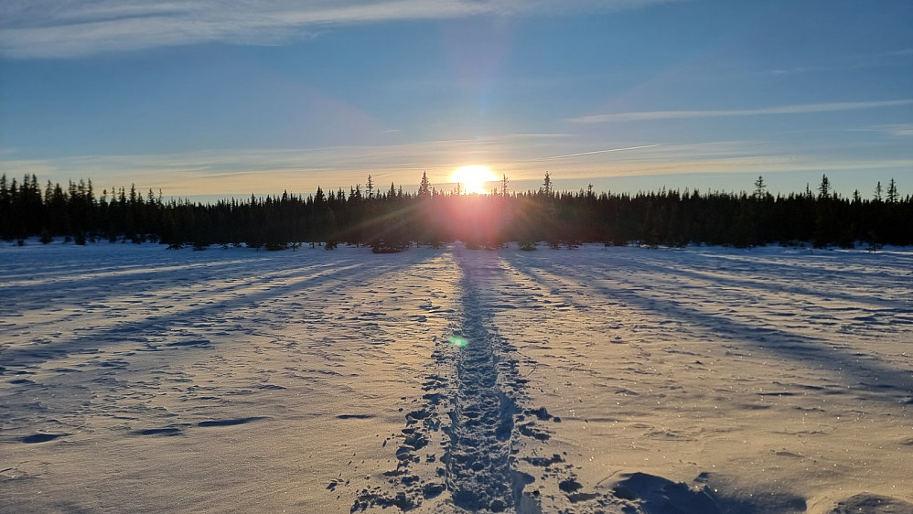 Tilbakeblikk på sporet vårt. Det var fastere snø på myrene, så der var det lett å gå
