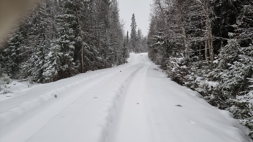 Starten var lett da jeg kunne gå i sporet etter en hogstmaskin