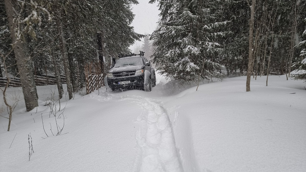 Jeg parkerte ved veis ende og tok trugene fatt opp i skogen