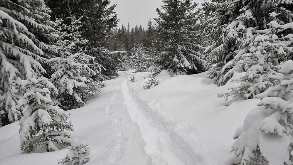 God trim å gå på truger i så mye løs snø