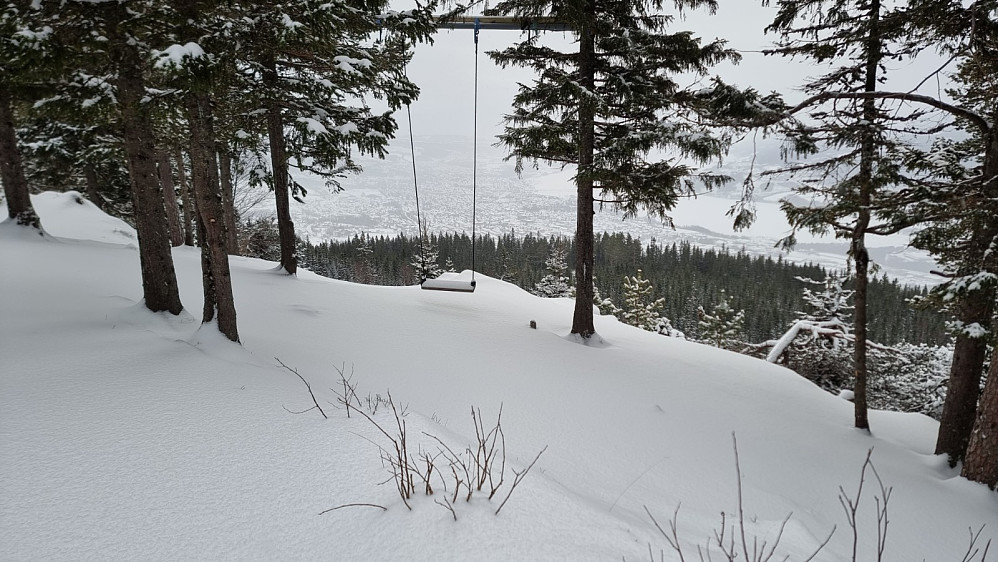 Urørt snø også ved utkikkspunktet. Det kom imidlertid et par damer på truger opp sør stien fra parkeringsplassen, og vi møttes på toppen 