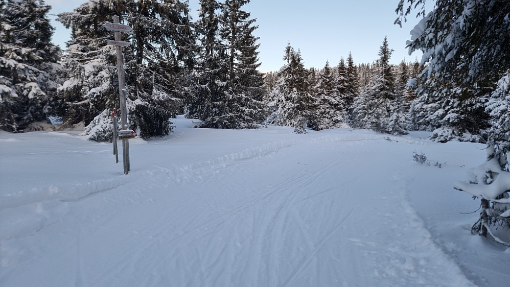 Sporet fra Fjelldokka og opp Nevelfjell var ikke tråkket opp. Snøen var nesten bunnløs i skogen, så jeg valgte å følge løypa opp på ryggen av fjellet før jeg tok av