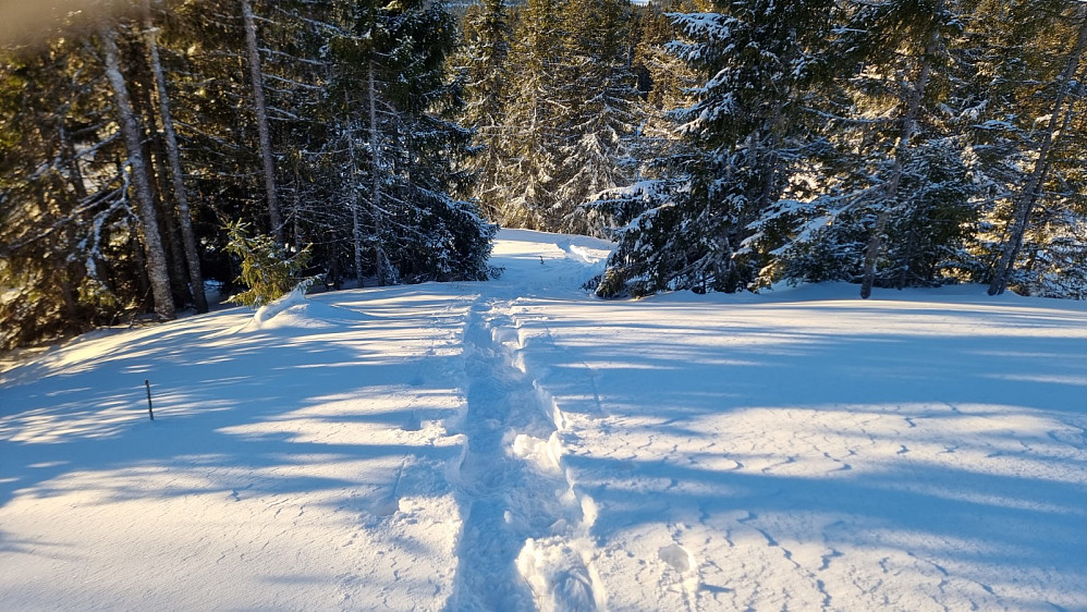 Tilbakeblikk. Veldig løs snø i skogen gjorde starten opp her veldig tung
