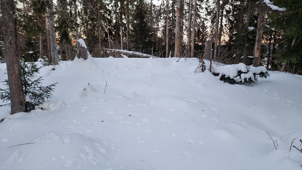 Urørt snø på Kniphaugen