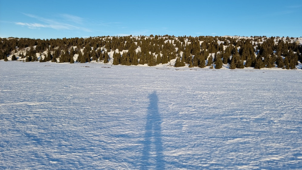 Jeg valgte å gå rett mot toppen opp gjennom skogen