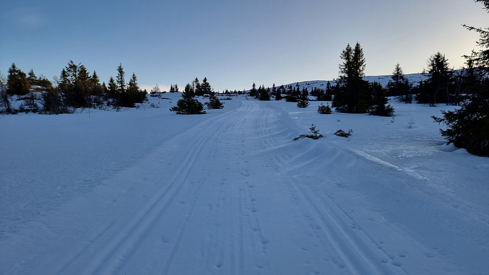 I løypa opp mot Hitfjell var det så hardt at jeg tok av skiene og gikk til fots