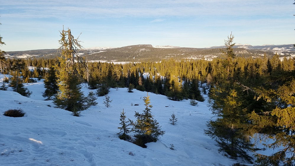 På returen fikk jeg fri sikt opp på Bjørga som blir dagens siste topp