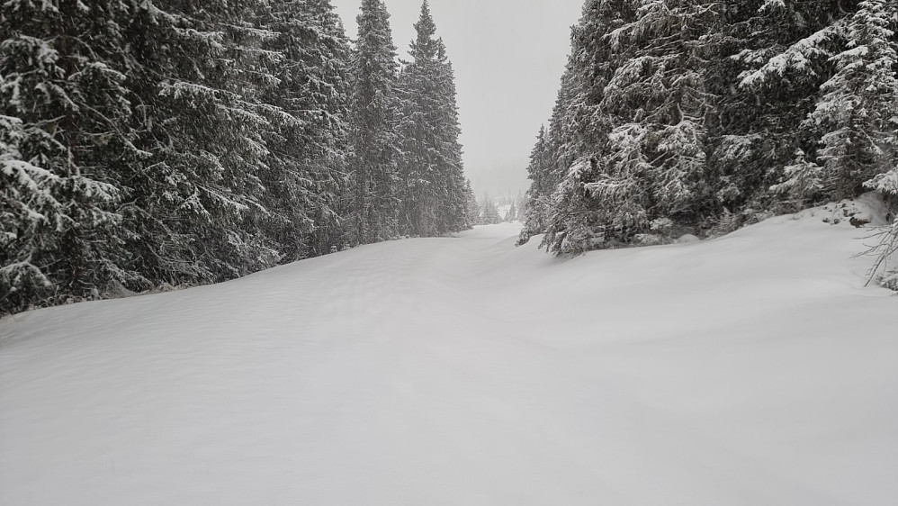 På tur ned fra Kinna kom snøværet som var spådd, og det ble litt rufsete forhold