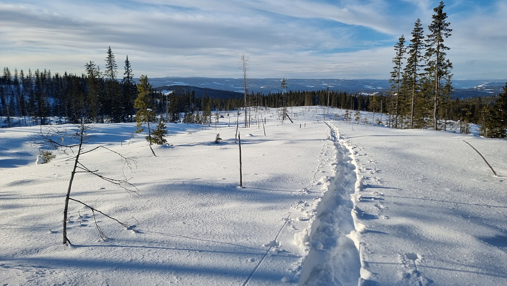 Det ble lettere å gå ned fra Langmyrrabben, da jeg kunne gå i mitt eget spor tilbake