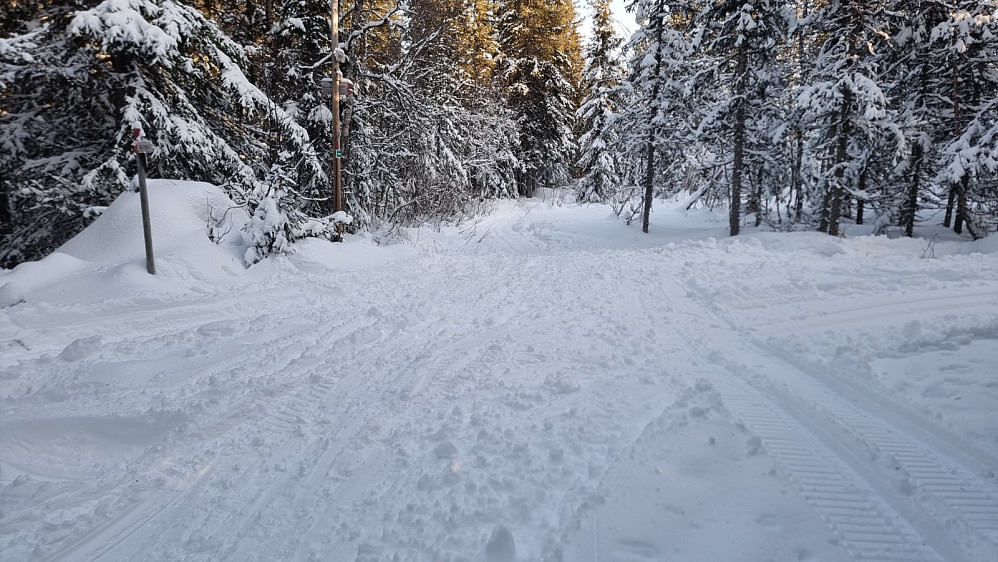 I første løypekrysset var det mye spor etter at snøscooteren hadde snudd der