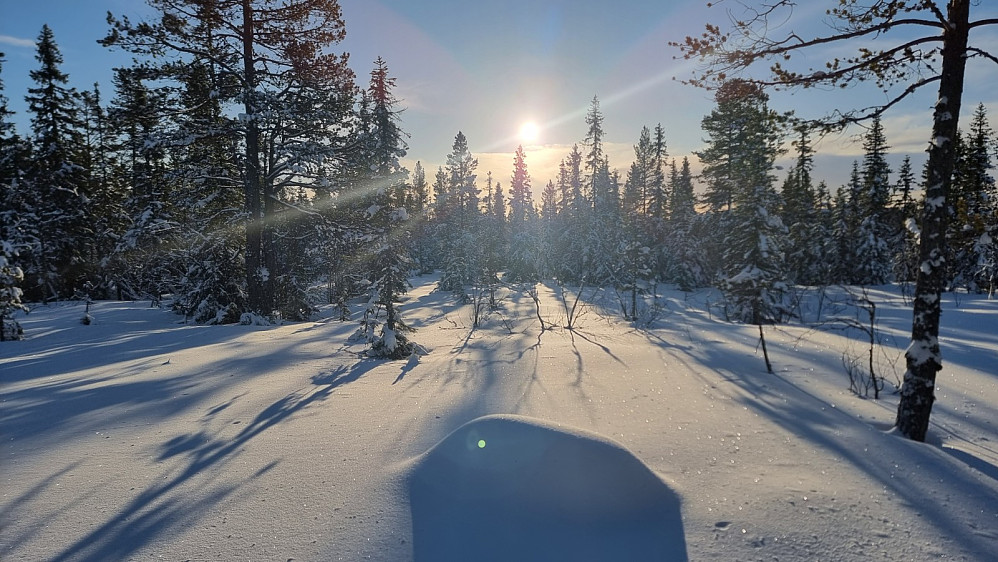 Sola kom opp og det ble varmt og fint å være ute på tur