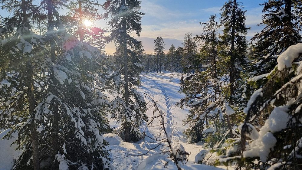 Snøen var bunnløs og det var skikkelig tungt å gå utenom løypa