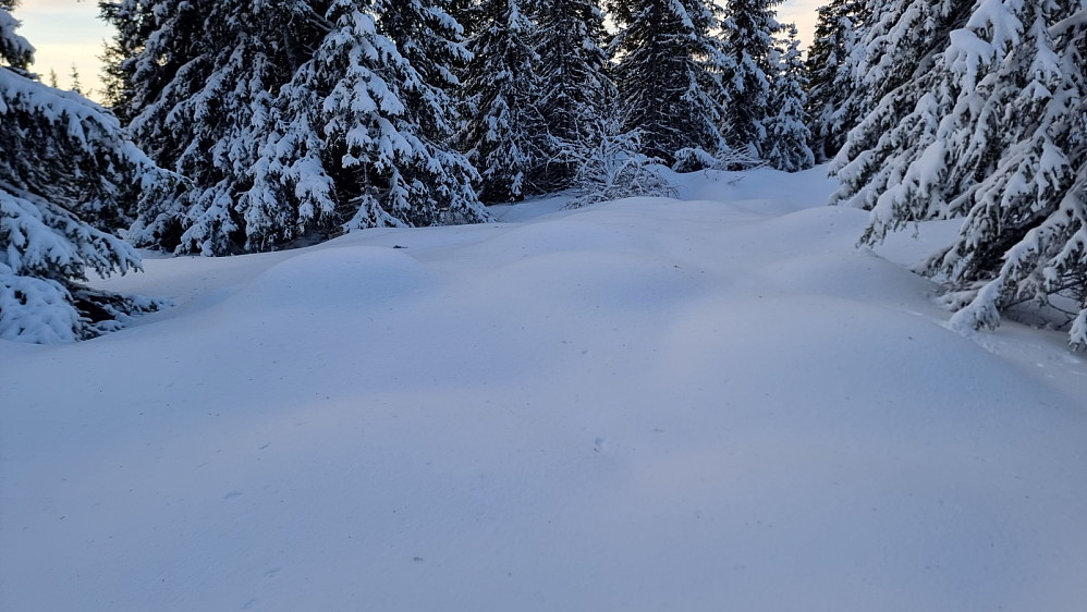 Urørt snø også på toppen av Venåsen