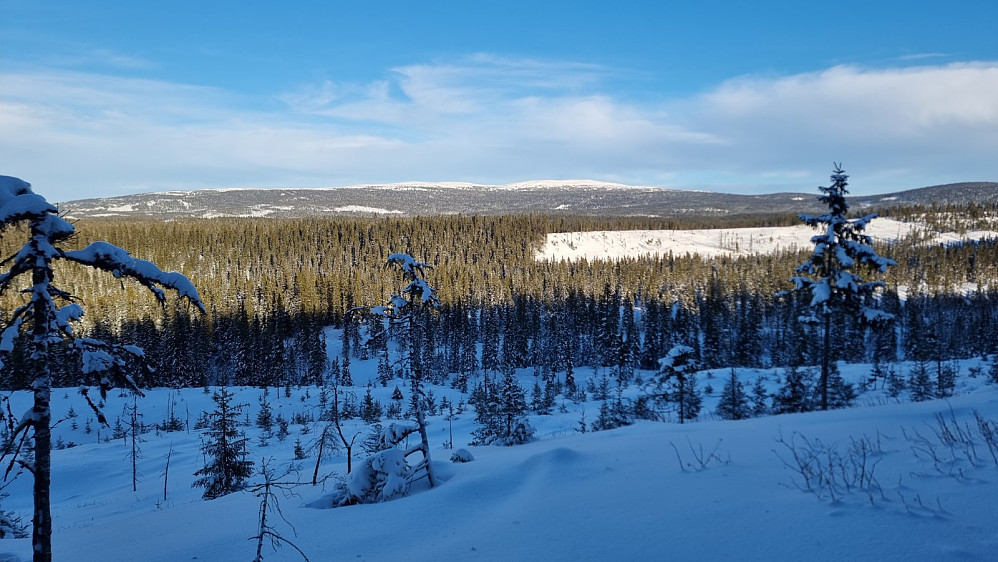 På ryggen opp mot Langmyrrabben hadde jeg flott utsikt opp på Nevelfjell