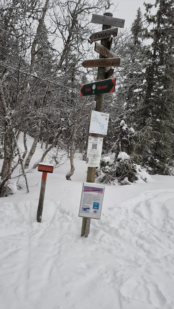 Skilt i løypekrysset oppe ved Kopnagelmyra