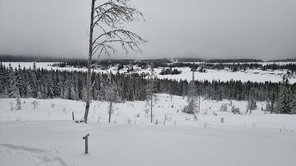 Fra utsikten så jeg ned på start, men det var fortsatt et stykke igjen opp til toppen på Sjoghaugen