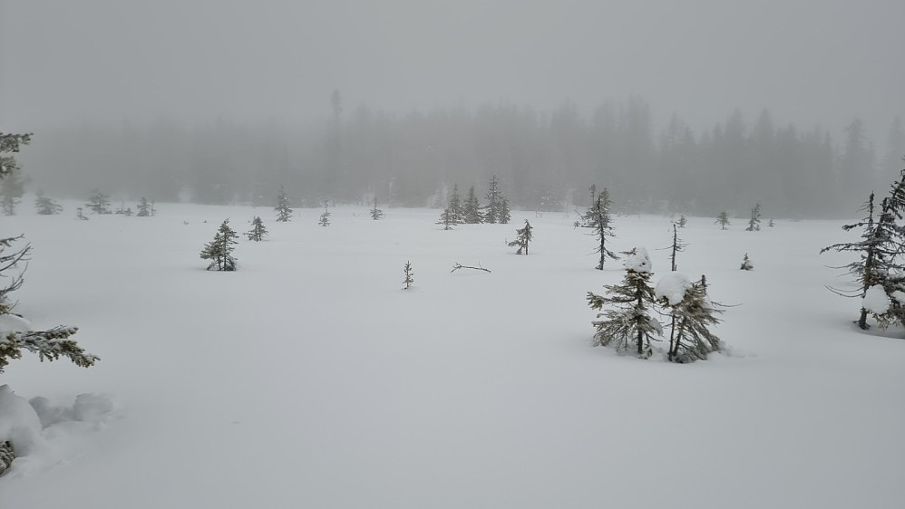 Været tetnet til og det begynte å snø. Her mot turens neste topp