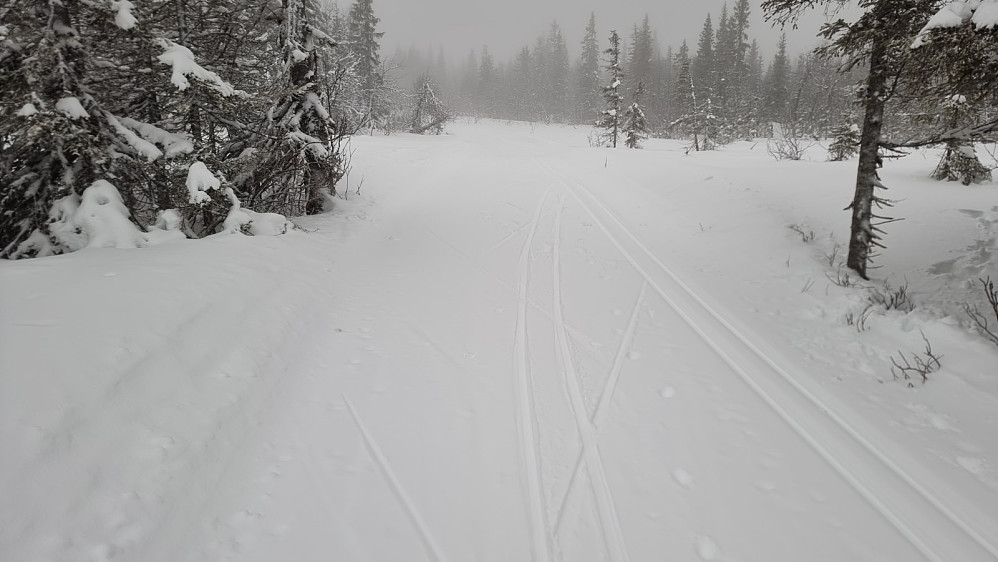 Jeg gikk ned på skiløypa inn mot turens siste topp. Mye lettere å gå på preparert spor enn å kave i løssnøen