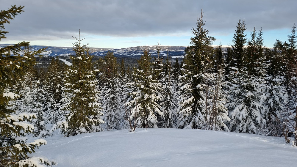 Fra toppen og opp mot Hafjell