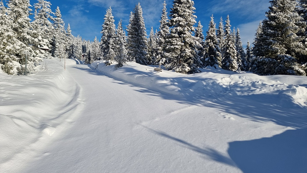 Perfekte forhold ved turstart med urørt snø i veien der jeg startet