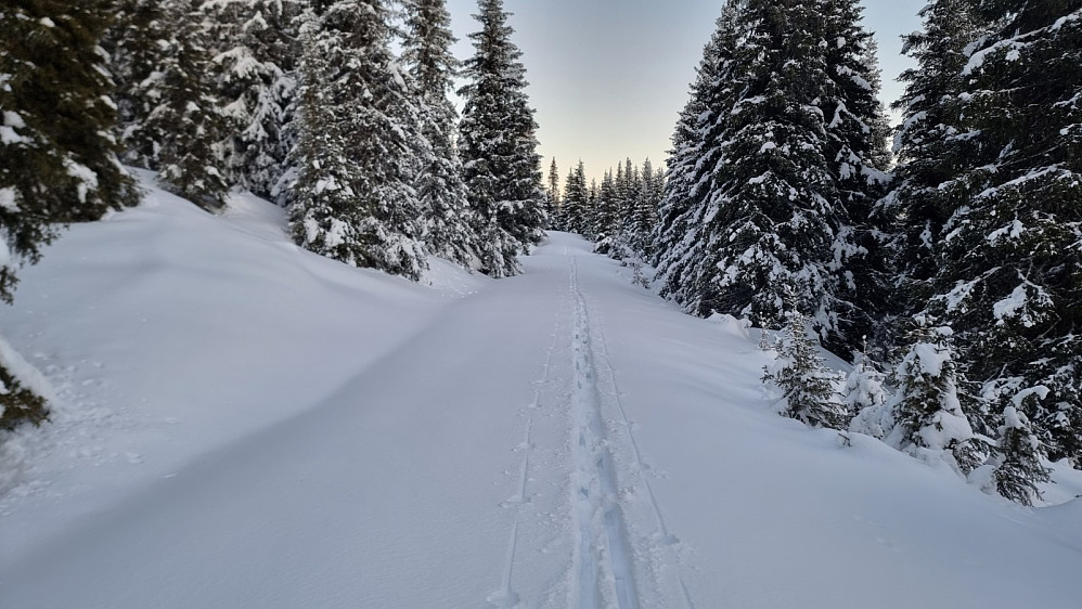 Å følge veien var et feilvalg, da jeg datt igjennom på hvert skritt. Det ble derfor en usedvanlig tung tur tilbake til bilen