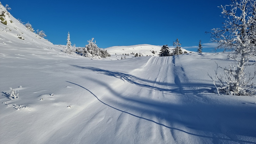 Her kom jeg opp av skogen og tok raskt av løypa for å bestige de 3 første småtoppene i tregrensa her oppe. Dyp og løs snø i skogen gjorde at det gikk veldig sakte i dag