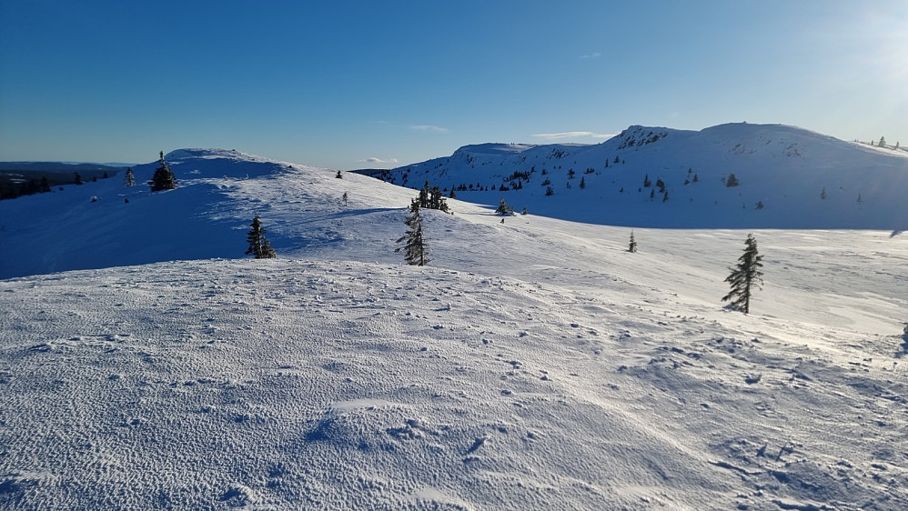 På tur opp Rævskorotjernhaugen og med Prestkjerringa til høyre