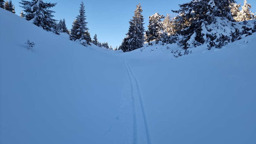 Jeg akte ned fra fjellet i bekkedalen her