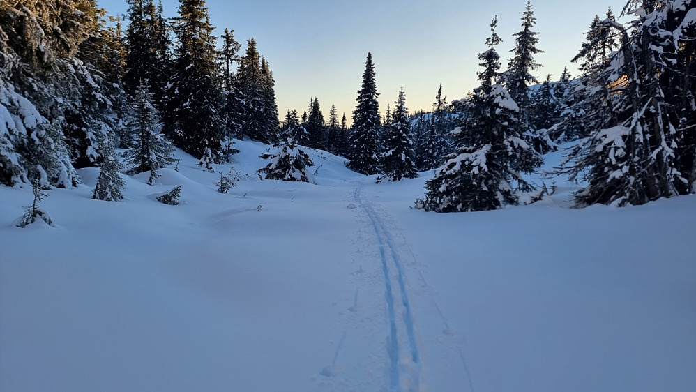 Nede i skogen ble det tungt å gå i mye løs snø
