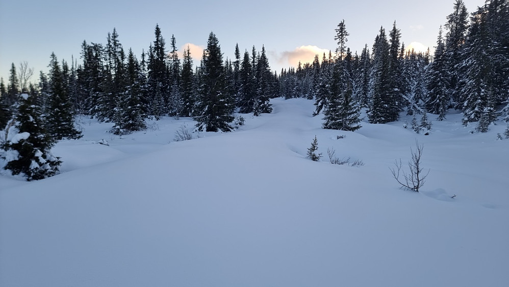 Jeg fulgte bekken ned til veien. På veien var det uberørt snø, men jeg tenkte at returen ble kortere hvis jeg tok veien i stede for skiløypa som innebar en omvei