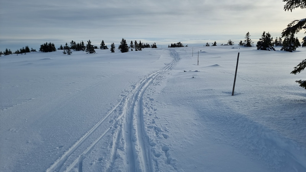 Jeg startet i preparerte løyper, men løypa bort til Lunkefjell var ikke kjørt på en stund. Uansett var det mye lettere å gå her enn på Skjellbreia i går.