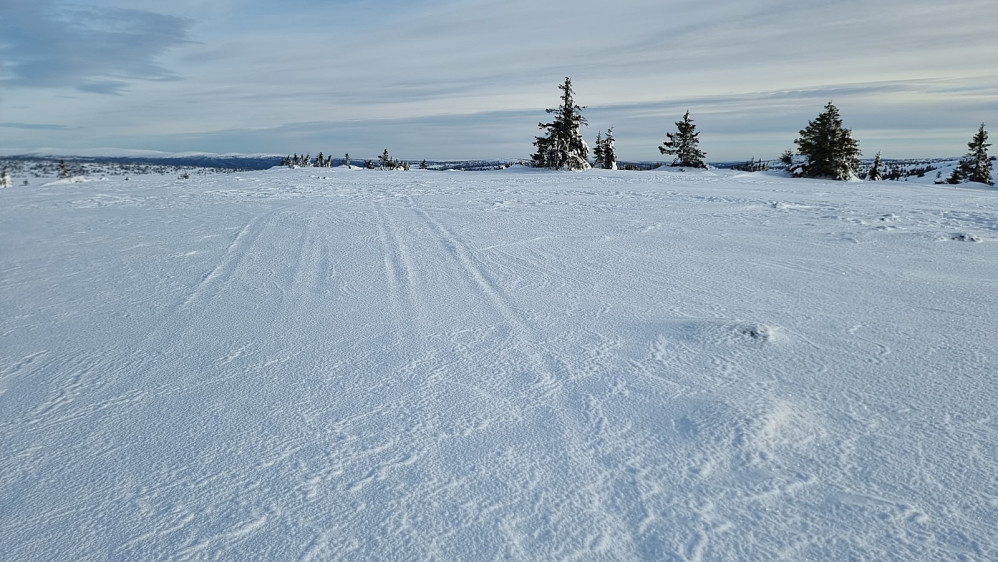 Det gikk scooterspor opp på toppen av Lunkefjell V1