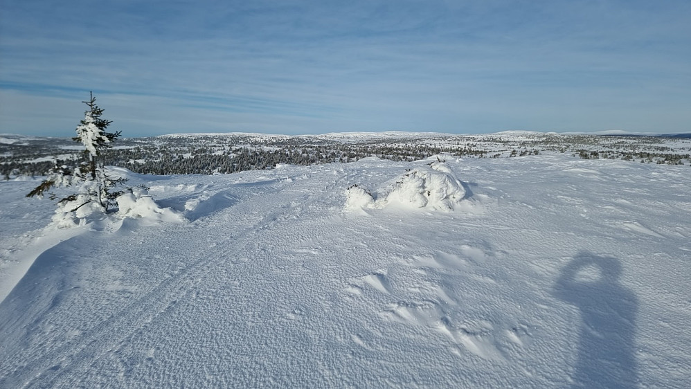 Når jeg først var her oppe ble det en sving oppom Høgfjellet. I bakgrunnnen ser vi Reinsfjellet, Hitfjellet og Kriksfjellet