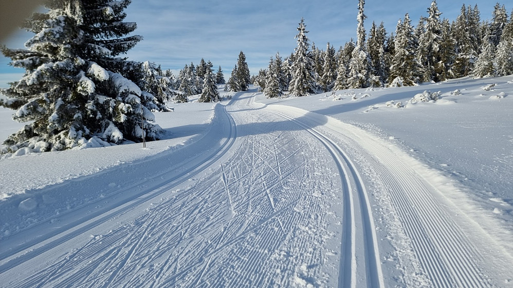 På turen bort til Nevelfjell var det perfekt spor, så da gikk det lett