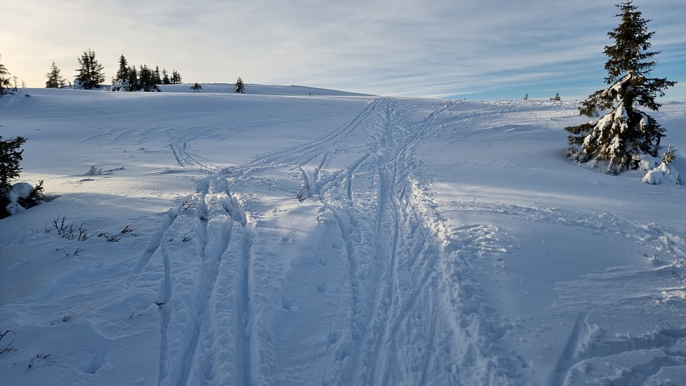 Bra med spor opp mot Nevelfjell