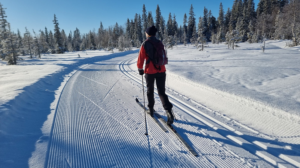 Nydelige forhold i dag