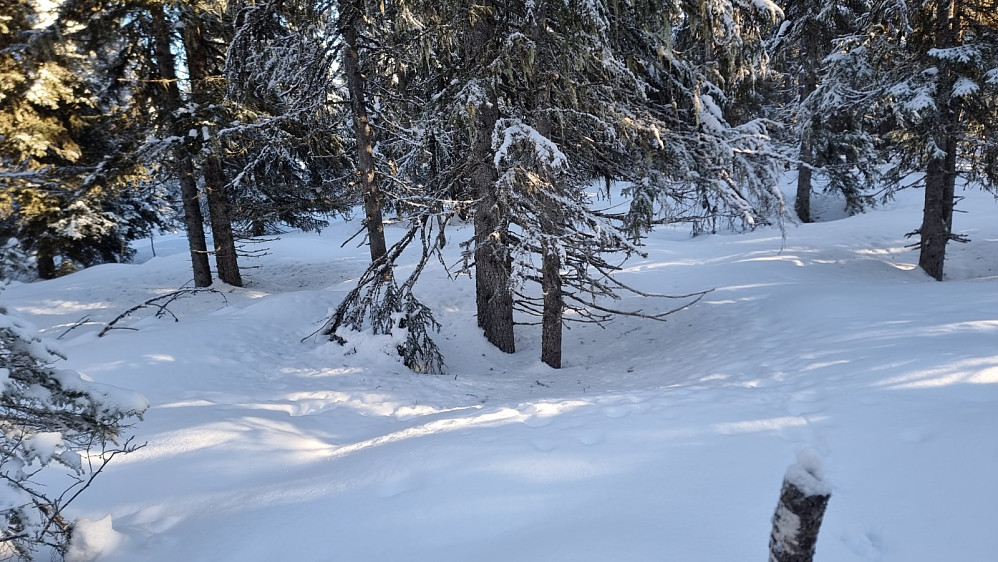 Her et sted er høyeste punkt på Åsen. Detr var skispor etter noen som har vært her oppe før siste snøfall