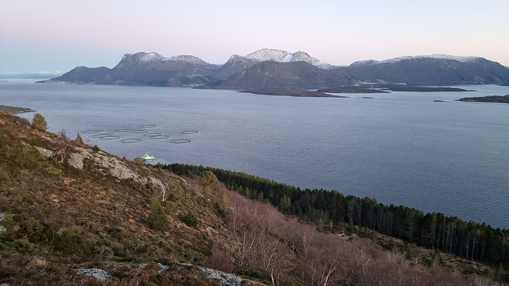 Flott utsikt til litt høyere fjell